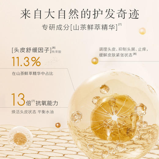 【1瓶/2瓶】青彩头皮护理油50ml A-3613 商品图1