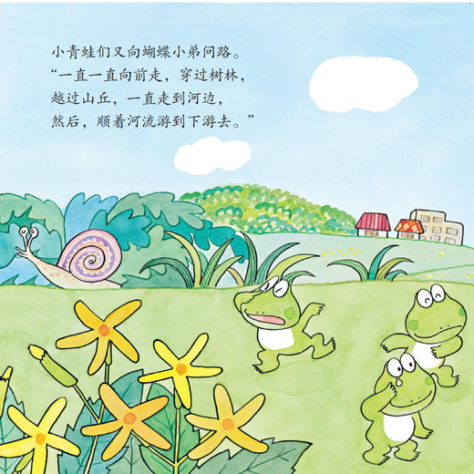 《10只小青蛙·口袋版》（全18册） 商品图14