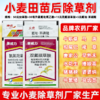 小麦苗后专用除草方案炔草酯除野燕麦看麦娘黑麦草专用除草剂正品 商品缩略图1