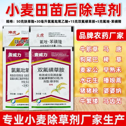 小麦苗后专用除草方案炔草酯除野燕麦看麦娘黑麦草专用除草剂正品 商品图1