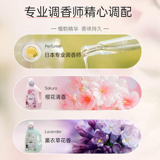 日本进口花无痕樱花I 薰衣草酵母深层洁净洗衣液5L 商品图4