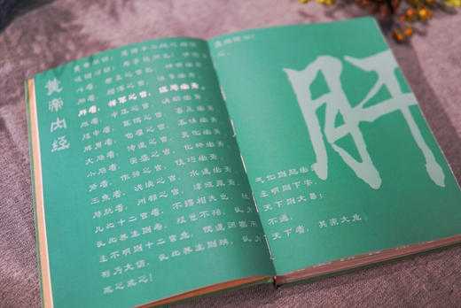 2025元气养生日记本 | 赠2枚书签 藏于书页的岐黄之术 商品图7