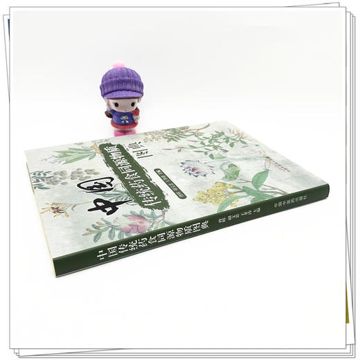 中国传统药食同源物质图典 曹晖 胡文忠 王孝涛 主编 中国中医药出版社 商品图2