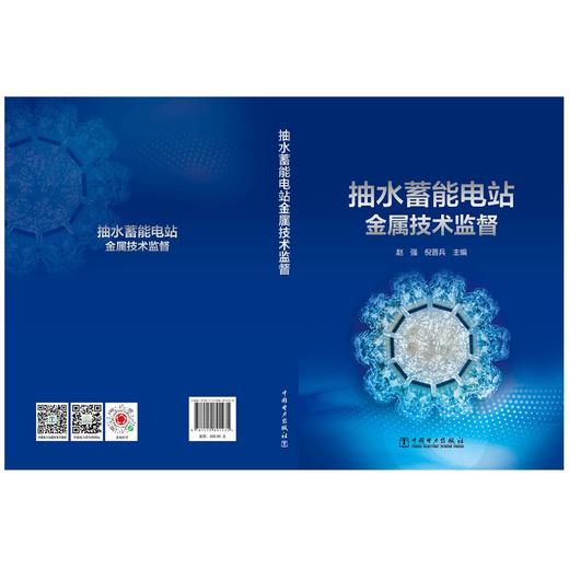 抽水蓄能电站金属技术监督 商品图2
