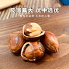 【东北大榛子】比核桃还营养，果仁饱满，浓香酥脆，满口都是榛子的坚果香味 商品缩略图2