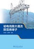 输电线路大通流防雷绝缘子 商品缩略图1