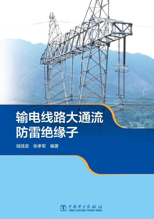 输电线路大通流防雷绝缘子 商品图1