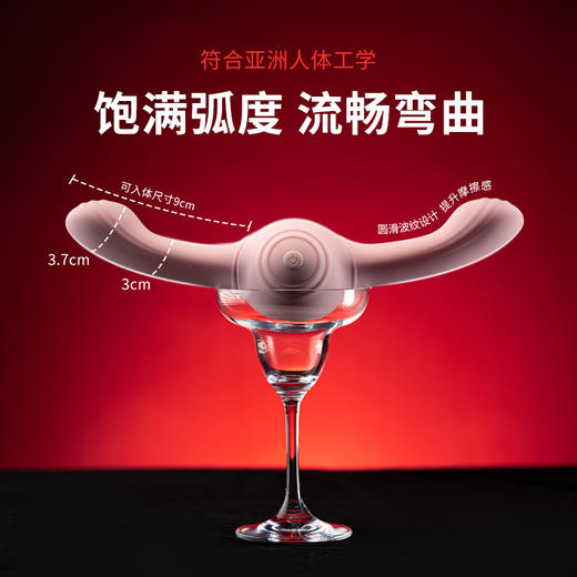 roomfun 房趣 双头龙 戏珠棒 商品图2