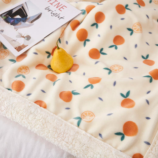 【品牌直发】加倍生活  棋盘格羊羔绒毛毯 牛奶绒羊羔绒复合加厚盖毯 网红爆款 商品图8