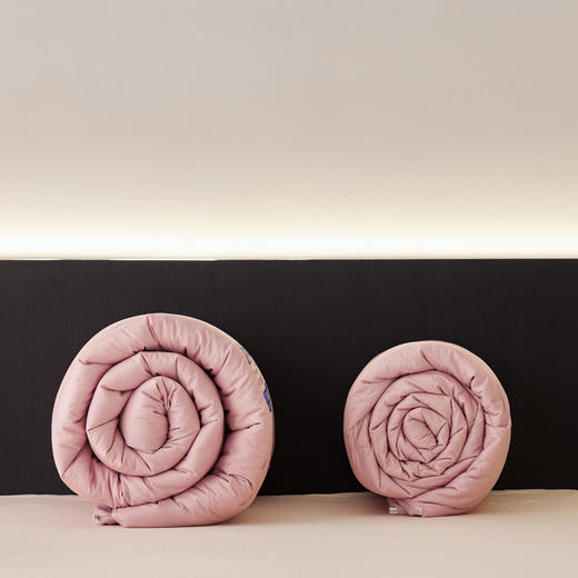 【A类控温抑菌被】莫代尔柔软蓬松恒温冬被 抑菌防螨科技冬被 被子被芯 商品图1