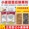 小麦苗后专用除草方案炔草酯除野燕麦看麦娘黑麦草专用除草剂正品 商品缩略图3