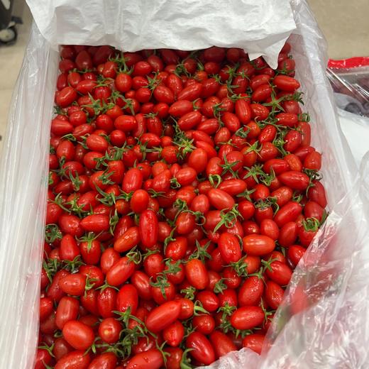 玲珑圣女果 1斤 （小果） 商品图7