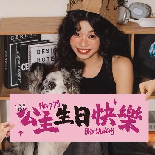 【生日横幅】小公主小王子生日快乐横幅 手持仪式感 商品图3