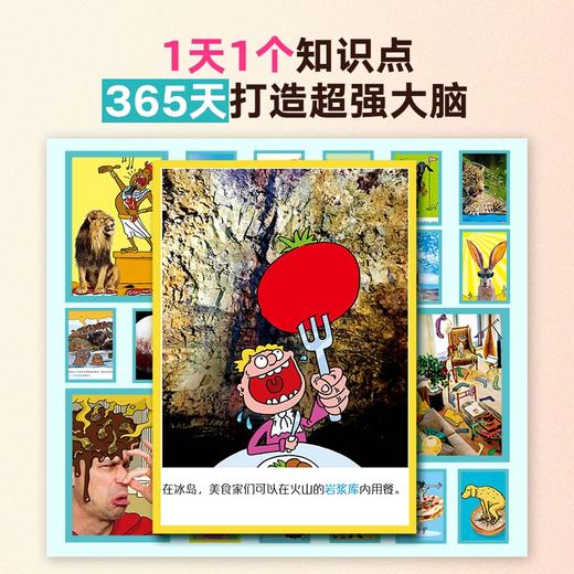 大英儿童百科2025知识巧历日历 跨学科知识科普 一天一个知识点 商品图3