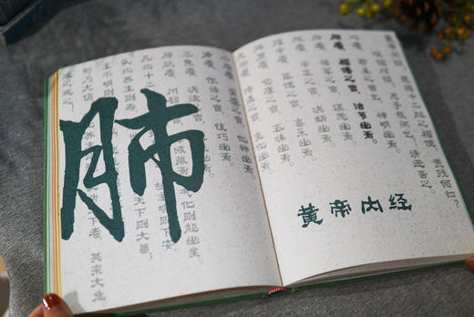 2025元气养生日记本 | 赠2枚书签 藏于书页的岐黄之术 商品图9