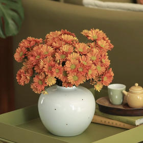 【橘子汽水小雏菊】5支/份  第二份减10元