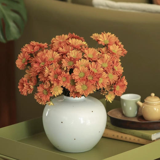 【橘子汽水小雏菊】5支/份  第二份减10元 商品图0