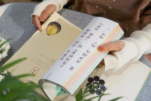 2025元气养生日记本 | 赠2枚书签 藏于书页的岐黄之术 商品图4