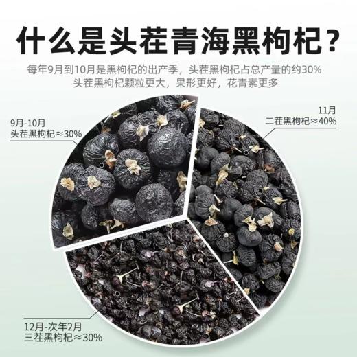 严选 | 杞里香头茬黑枸杞 100g*5瓶 中果 富含丰富花青素 商品图3