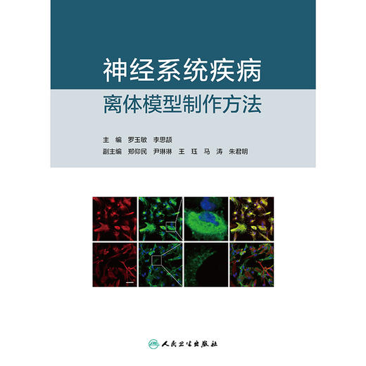 【预售】神经系统疾病离体模型制作方法 2024年11月参考书 商品图1