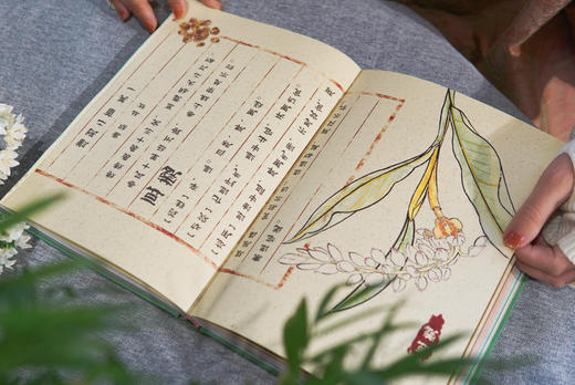 2025元气养生日记本 | 赠2枚书签 藏于书页的岐黄之术 商品图5