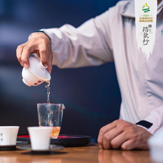 隐岭·蹋歌行山竞赛|原生态有机茶  | 4小盒|8泡装 商品图2