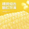 失重密码  花糯玉米棒220g*6根装 商品缩略图2