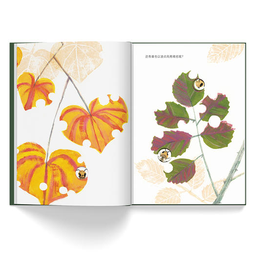 虫虫艺术家 卢心远 编著 儿童绘本 幼儿图画故事书 自然科普与艺术启蒙原创绘本 南京大学出版社 ND 商品图3