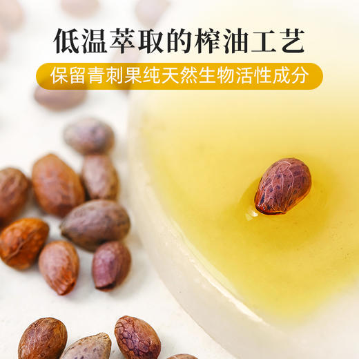 【米马团购】食味的初相 青刺果油100ml*1瓶/2瓶 商品图2