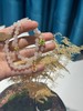 【非质量问题不退，谢谢理解】小鱼推荐 天然和田玉古风手串 6mm新中式叠戴 商品缩略图1