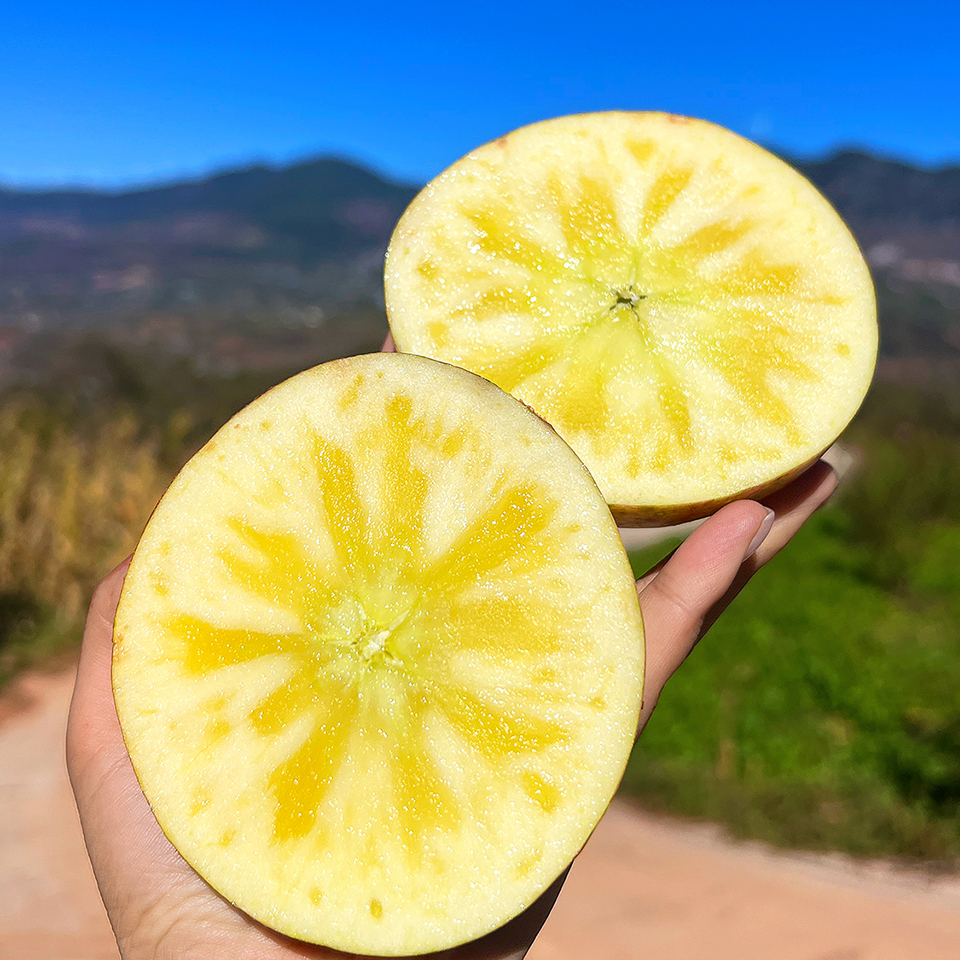 福利活动『大凉山冰糖心丑苹果』可达70%糖心率！半野生种植，香脆可口，果香浓郁