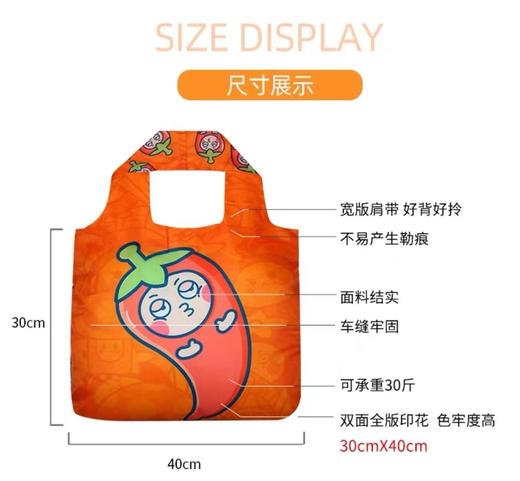 【天天低价】小号（40*30cm）澳大利亚ENVIROSAX春卷包 商品图7