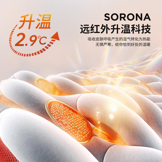 【[轻织系】]重磅棉蓄热保暖半高领毛衣247X0P720L 商品图4