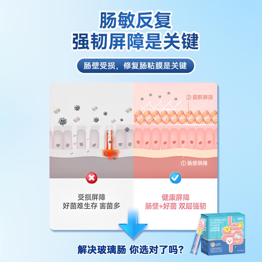 ² 买6送1【小象院线版L-谷氨酰胺益生菌】添加M-16V+BB536专利菌 极简配方 2g*30条/盒HM02-CRMM-YS【小象店庆专场】 商品图2