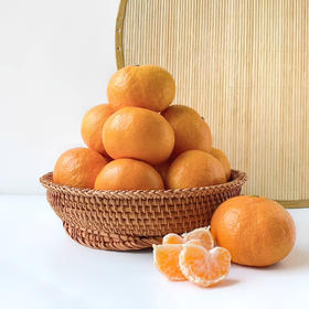 正宗涌泉蜜桔无核化渣