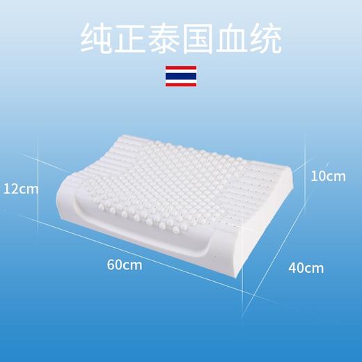 诺伊曼  按摩款乳胶枕（S)S4580 商品图3