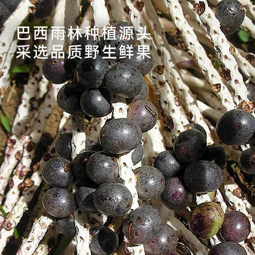 冻干巴西莓粉 | 欧盟双有机认证 甄选100%巴西树龄5年+野生果实 -42℃冻干工艺 油脂丰富营养密度高 1勺≈400g蓝莓 独立小袋便携锁鲜 商品图2