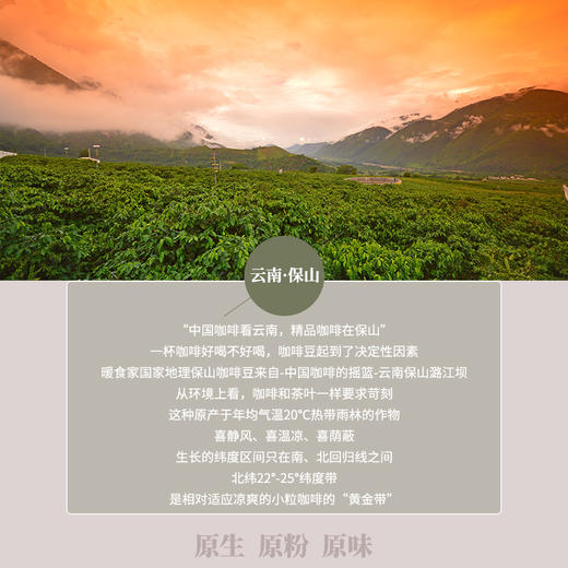 暖食家有机原磨挂耳咖啡粉 10g*5袋/盒 商品图7