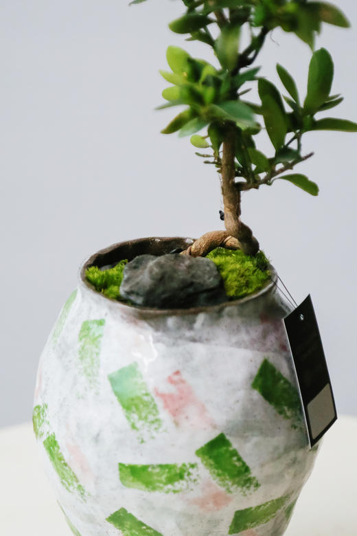 提根造型金豆 商品图1