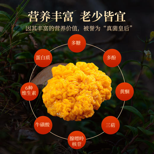 新鲜金耳菌 商品图1