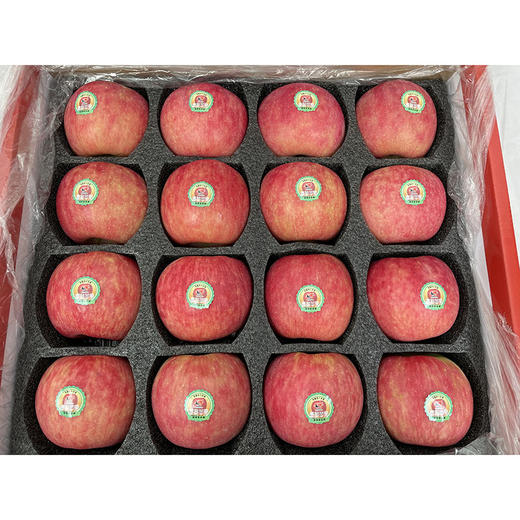 【秦脆苹果】16枚90mm超大果顶端果业陕西洛川秦脆苹果手提礼盒 商品图2
