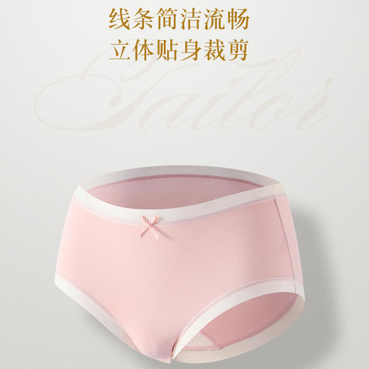 【3条装】女士60支长绒棉内裤三角内裤底裤中腰平腰裤子内裤【CSL24265】 商品图2