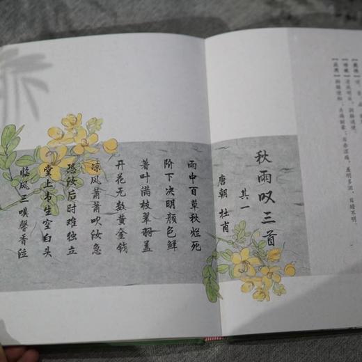 2025元气养生日记本 | 赠2枚书签 藏于书页的岐黄之术 商品图3