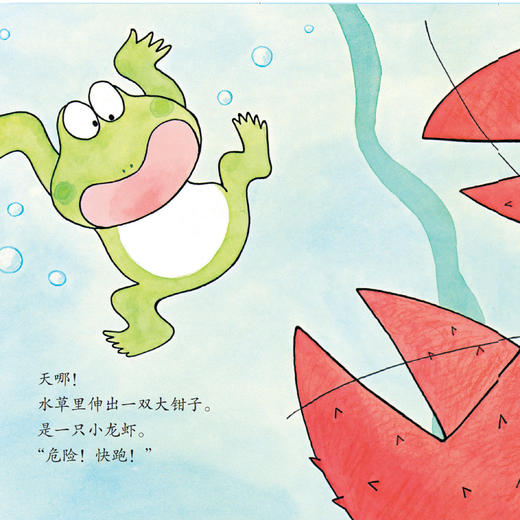 《10只小青蛙·口袋版》（全18册） 商品图13