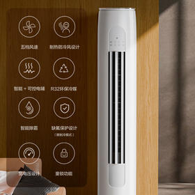 格力 3 匹 天仪 新一级能效 变频 客厅空调立式柜机 格力空调KFR-72LW/(72504)FNhAa-B1