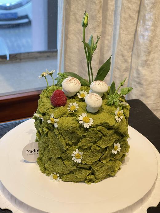 绿野仙踪·森林苔藓蛋糕 | Midori 商品图0