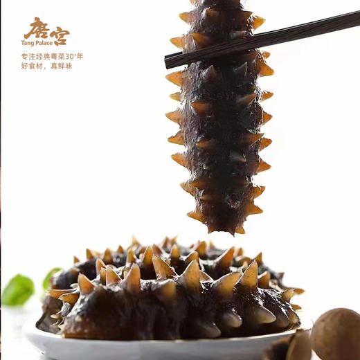 海参 500g（8条装） 商品图3