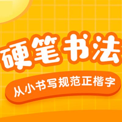 凯叔硬笔书法全年课 商品图0