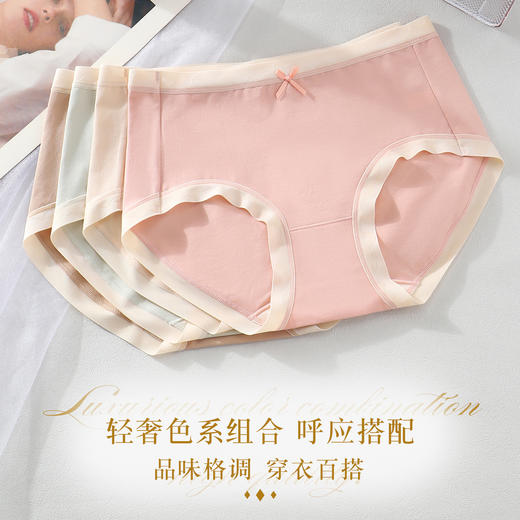 【3条装】女士60支长绒棉内裤三角内裤底裤中腰平腰裤子内裤【CSL24265】 商品图0