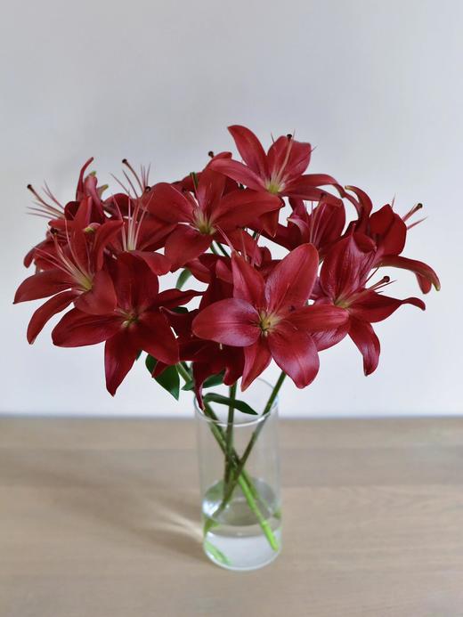 黑贝壳亚百合【不被定义，你可以是任何样子】简小姐精选亚百合 黑贝壳5枝 2束包邮 下单3天发货 商品图2